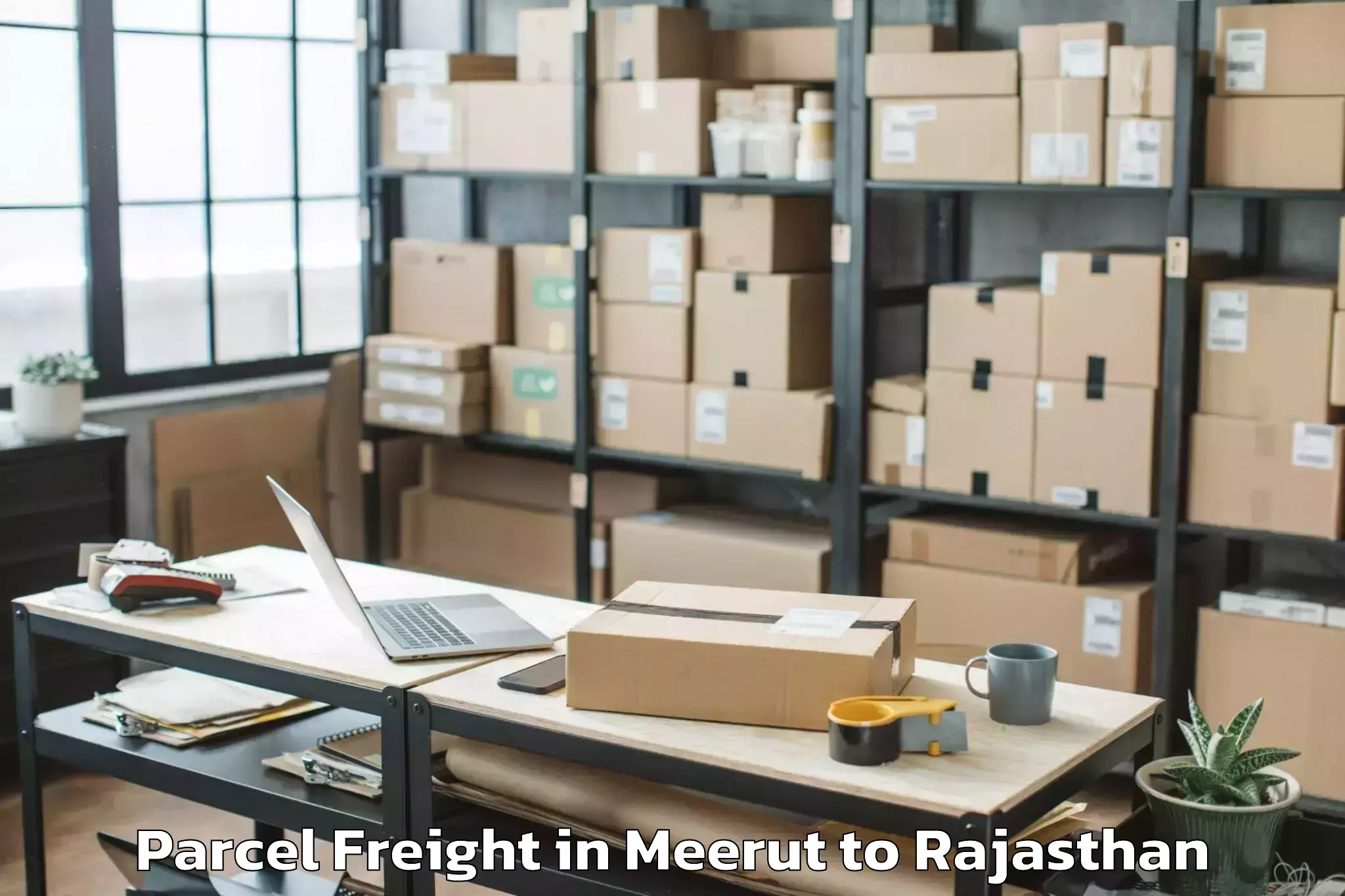 Book Your Meerut to Sridungargarh Parcel Freight Today